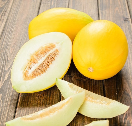Melon Oliwine 20 Seeds - Vesta Market