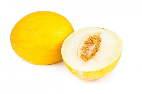 Melon Oliwine 20 Seeds - Vesta Market