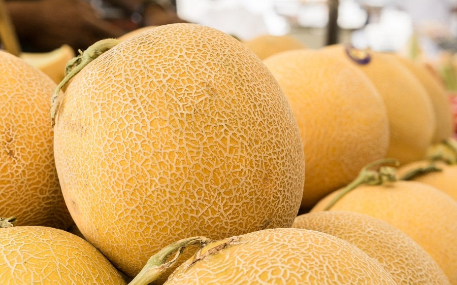 Melon Junior F1 Extremely Tasy 20 Seeds - Vesta Market
