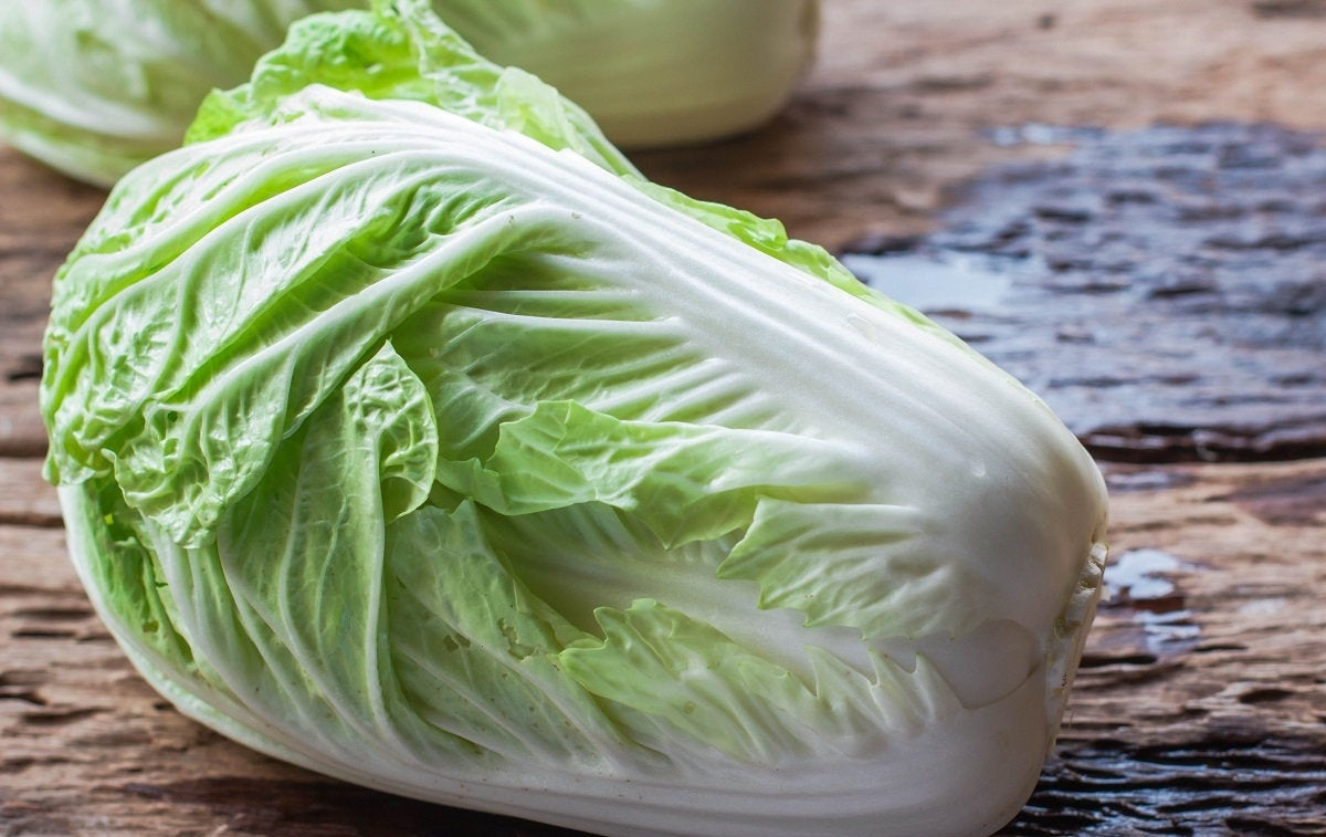 Cabbage Forco F1 100 Seeds - Vesta Market
