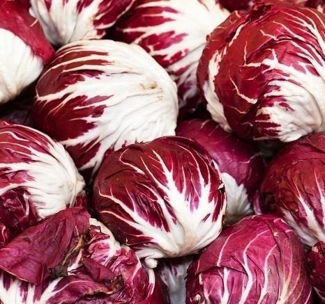 Chicory 100 Seeds - Vesta Market