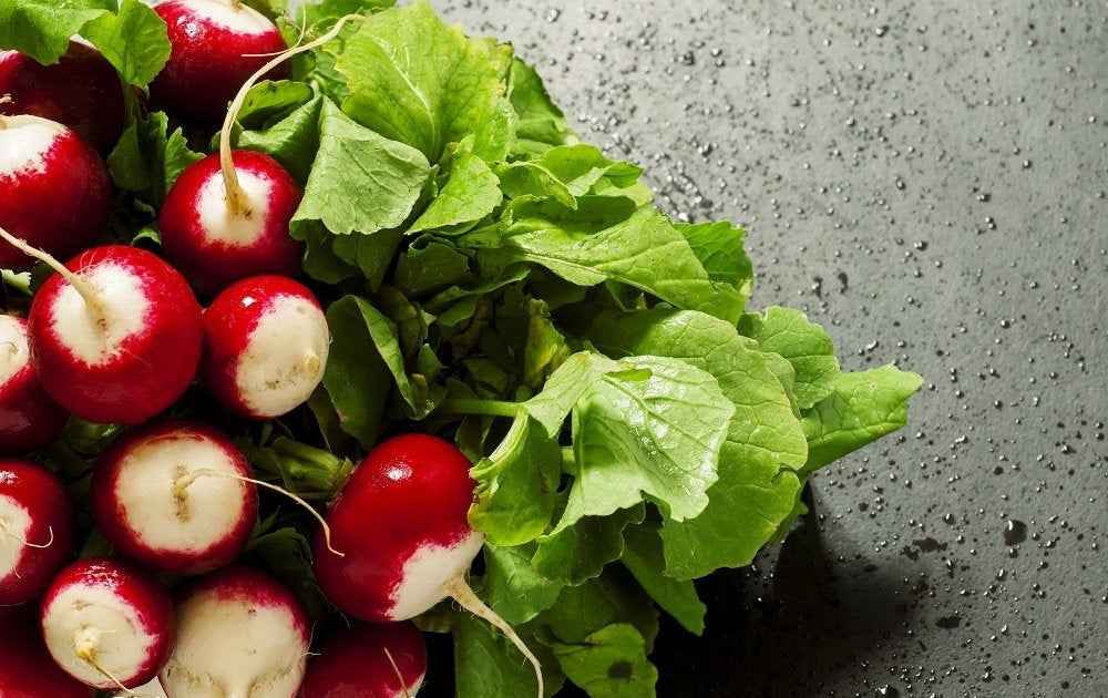 Radish Caro 5000 seeds - Vesta Market