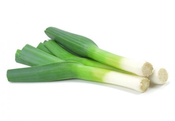 Leek Tango 100 seeds - Vesta Market