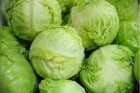 Cabbage White Amager 200 Seeds - Vesta Market