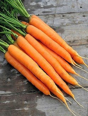 400 Carrot Nantes 3 seeds - Vesta Market