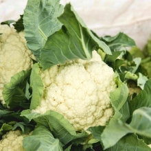 Cauliflower Delta seeds Vesta Market