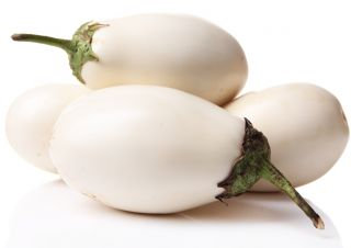 Eggplant Golden Eggs plant seeds Vesta Market
