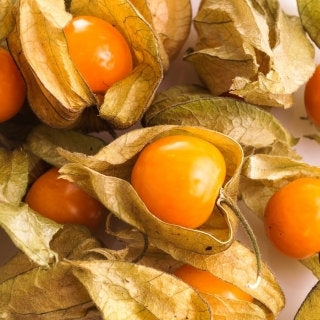 Brazilian Raisin Seeds non-GMO 100 seeds - Vesta Market
