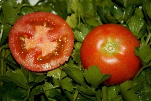 Tomato Remiz F1 10 Seeds Vesta Market