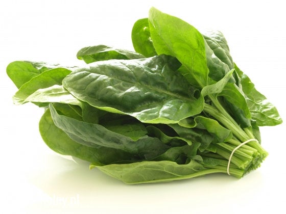 Spinach Spinacia Oleracea Seeds Vesta Market