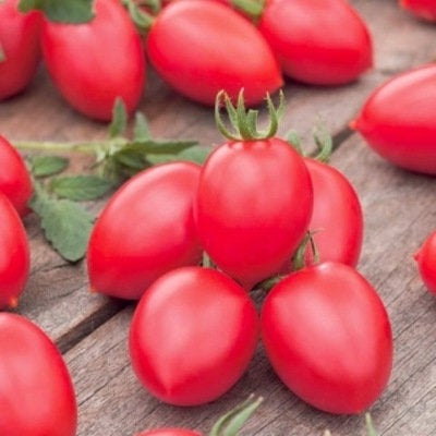 Dwarf Raspberry Tomato Bosman Seeds - Vesta Market