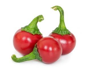 Coral pepper Seeds 0.2 Grams Vesta Market