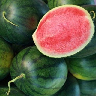 Beautiful Watermelon Rosario Seeds - Vesta Market