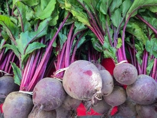 ORGANIC non-GMO beetroot Detroit 2 (Beta vulgaris) 200 seeds - Vesta Market