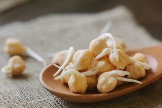 30 g organic seeds for sprouts - Chickpeas - Vesta Market