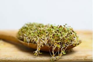 10 grams Organic Broccoli Raab seeds for sprouts - Vesta Market