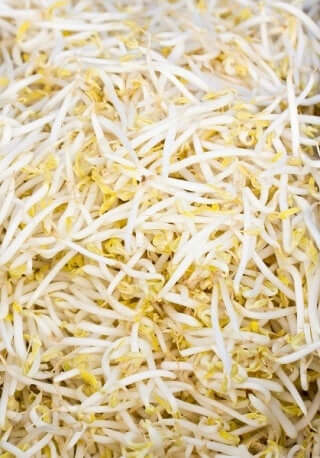 10 grams Organic Broccoli Raab seeds for sprouts - Vesta Market