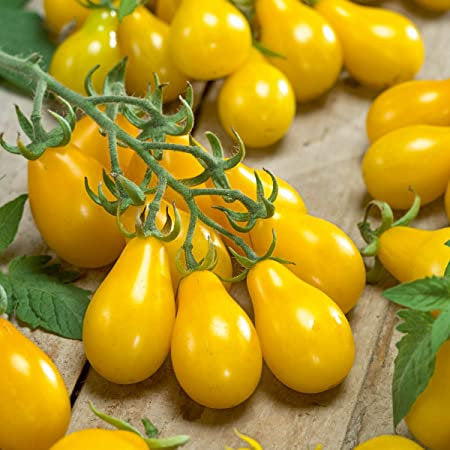 Perun Pear Tomato 100 seeds - Vesta Market