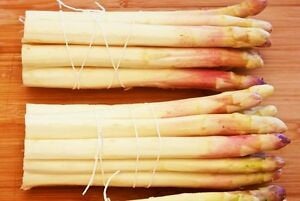 Asparagus 30 Seeds Vesta Market