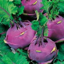 Kohlrabi Delikatess Blauer - 200 seeds Vesta Market