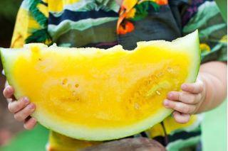 European Watermelon Janosik 10 seeds - Vesta Market