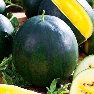 European Watermelon Janosik 10 seeds - Vesta Market