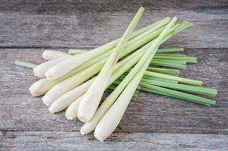 Lemongrass 100 Seeds - Vesta Market