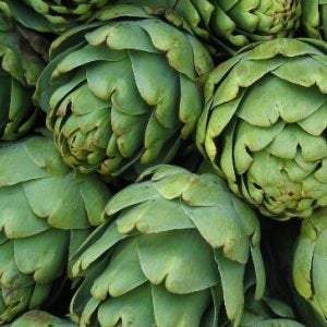 Artichoke 20 Seeds - Vesta Market