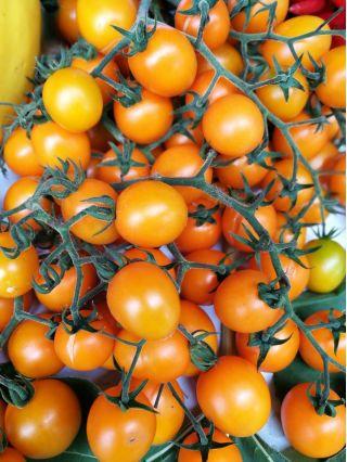 Grape Lemon Tomato - Vesta Market