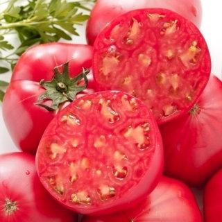 Tomato Buffalo Heart Oxheart seeds Vesta Market