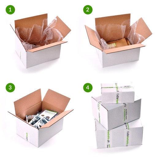 Hassana Chai Tea - non GMO 1.8 oz - Vesta Market