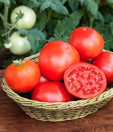 Warsaw Raspberry Tomato seeds Vesta Market