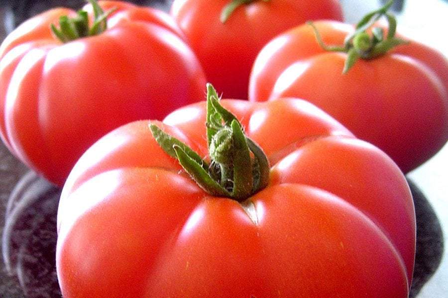 Warsaw Raspberry Tomato seeds Vesta Market