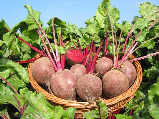 Beetroot Red Ball 500 seeds - Vesta Market