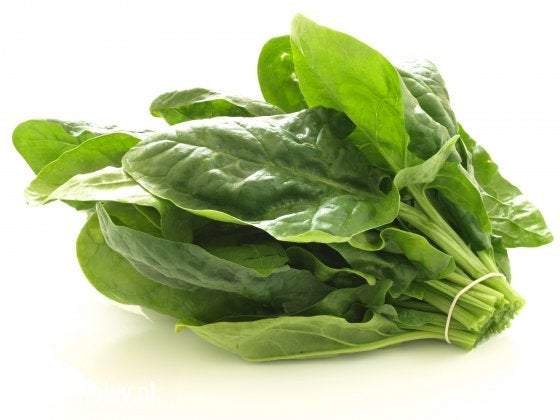 Organic BIO Spinach Geant d'hiver 2000 seeds - Vesta Market