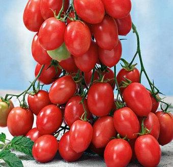 Tomato Cherry Raspberry Flavor 20 seeds Vesta Market
