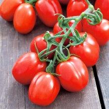 Tomato Cherry Raspberry Flavor 20 seeds Vesta Market