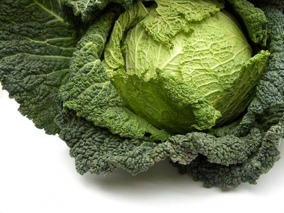 Vertus 2 Cabbage 200 seeds Vesta Market
