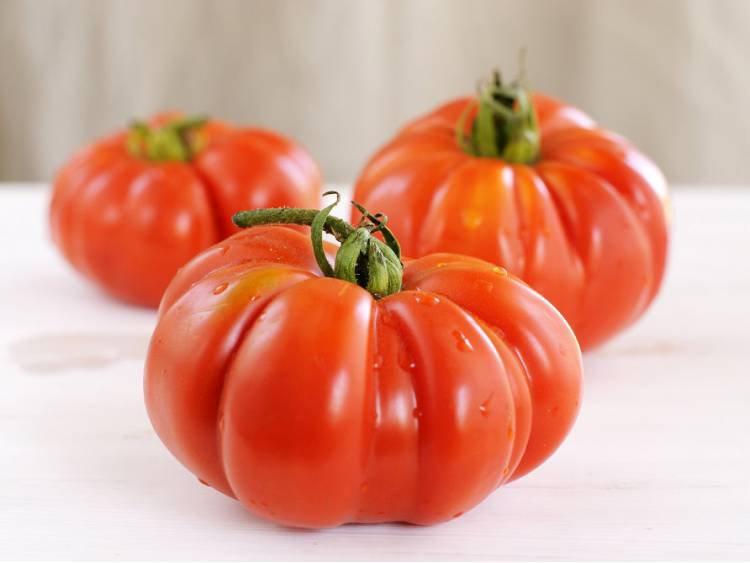 Giant Tomato BRUTUS seeds - Vesta Market