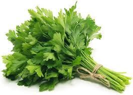 Gigante D'Italia Leaf Parsley seeds - Vesta Market