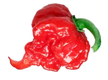 CAROLINA RED REAPER Seeds - Vesta Market