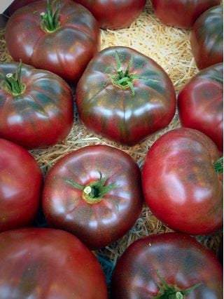 BLACK Noire de Crimée Tomato 0.1 grams - Vesta Market