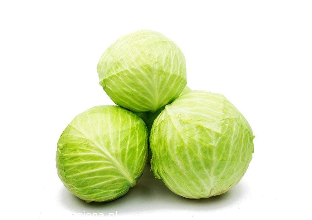 White Cabbage Fantasy 100 seeds Vesta Market