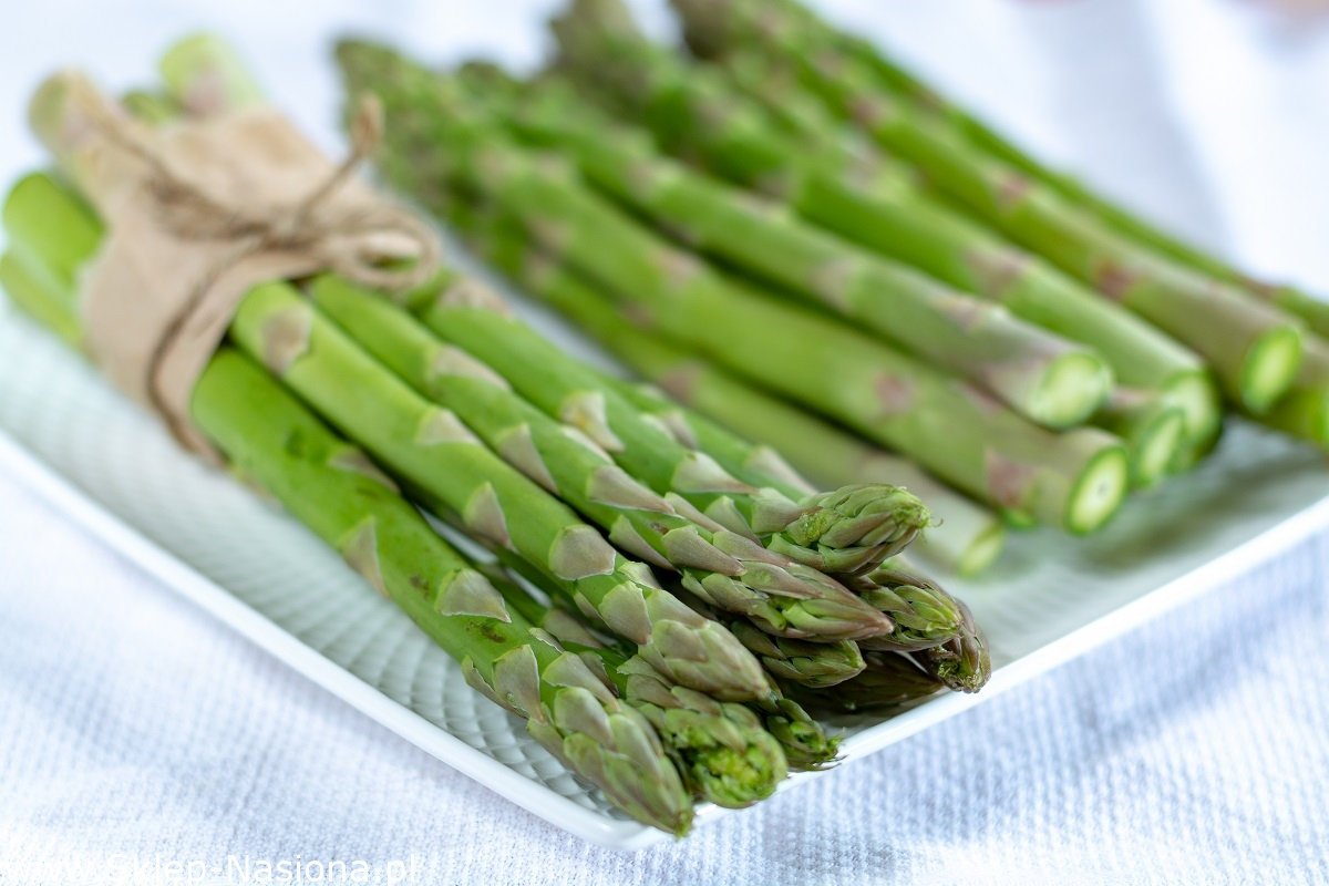 Asparagus Mary Washington Seeds - Vesta Market