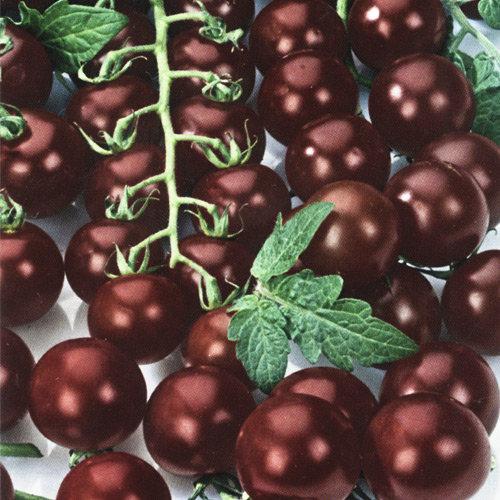 Black Cherry Tomato seeds - Vesta Market