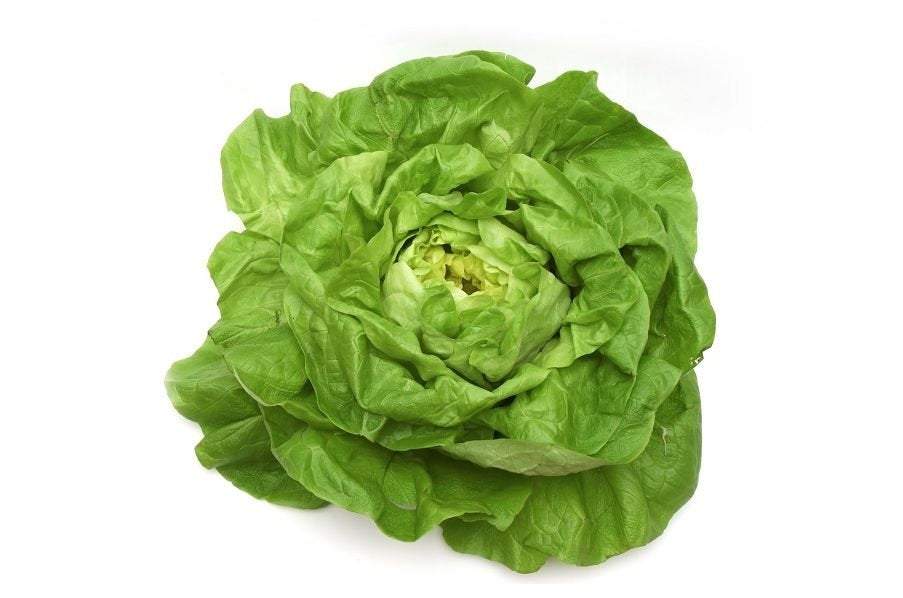 Butter Lettuce Michalina 100 Seeds - Vesta Market