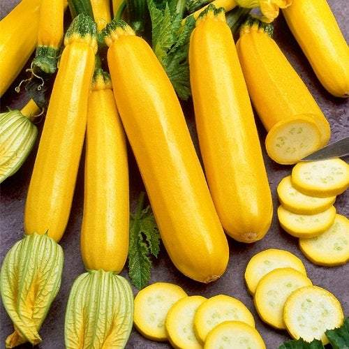 Golden Zucchini 20 seeds - Vesta Market