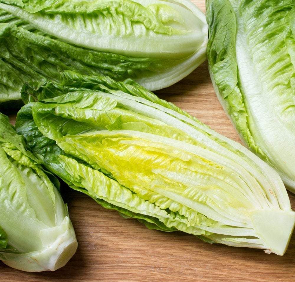 Lettuce Parris Island 500 Seeds - Vesta Market