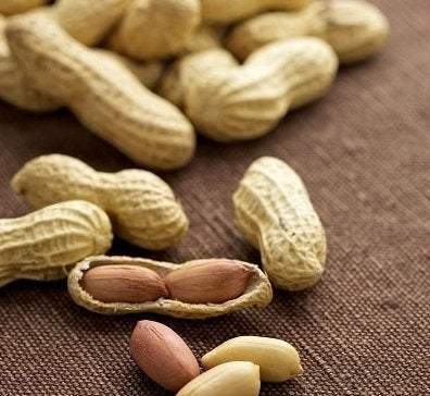Peanut 5 seeds - Vesta Market
