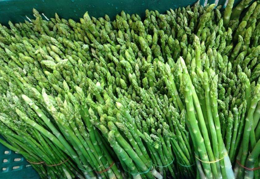 Asparagus 1g 20 seeds - Vesta Market